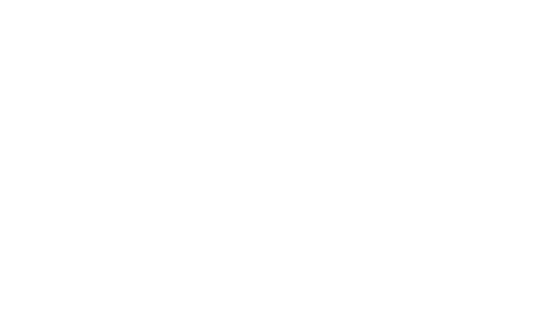 Legacy Masonry and Construction logo